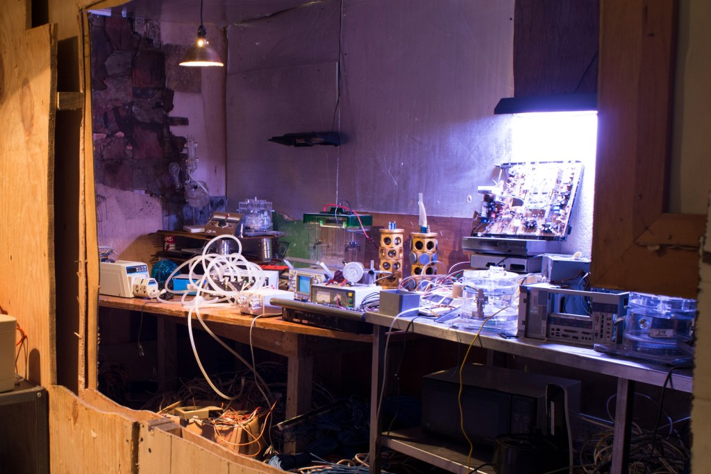 Bosporusel puhuvad sügistuuled