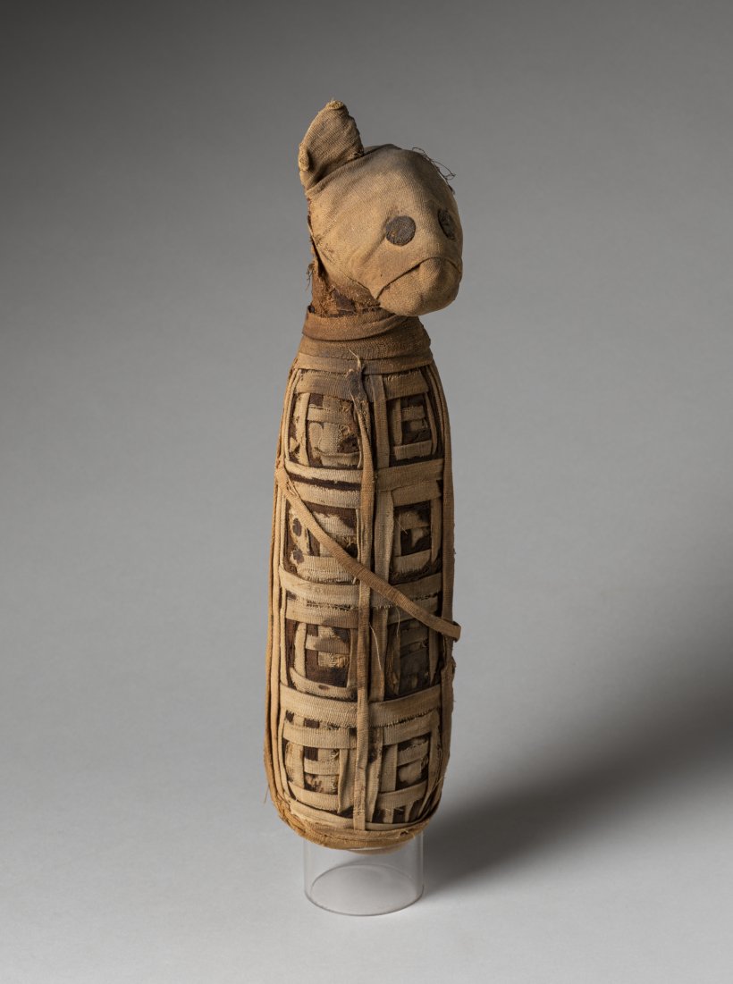 NÄDALA TEOS: Kassi muumia. Hilis-Egiptus (722–332&nbsp;eKr)