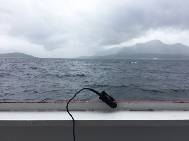 3_Enrique Ramírez – Tidal Pulse II