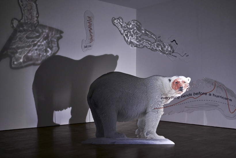 Katja Novitskova näituse „Kui sa vaid näeksid, mida ma su silmadega olen näinud. 2. aste“ vaade. Foto: Tõnu Tunnel