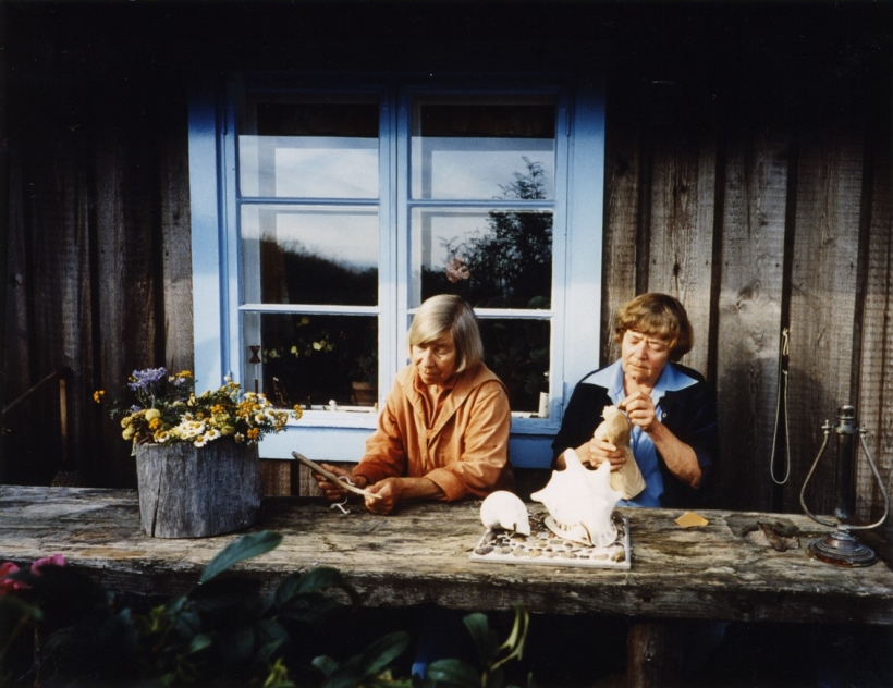 Foto4: Haru, üksildaste saar. Kaader filmist