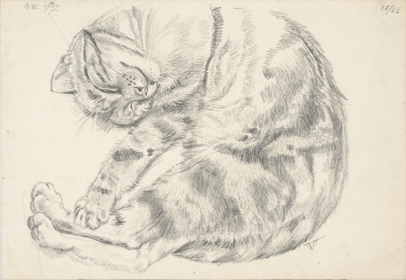 NÄDALA TEOS: Eduard Wiiralt. Magav&nbsp;kass