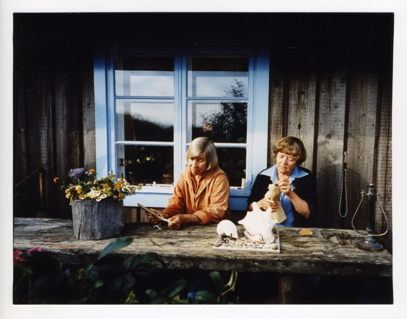 „Haru, üksildaste saar“. Kaader filmist