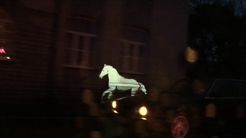 Flo Kasearu. Esc. 2010. Kaader videost. Eesti Kunstimuuseum