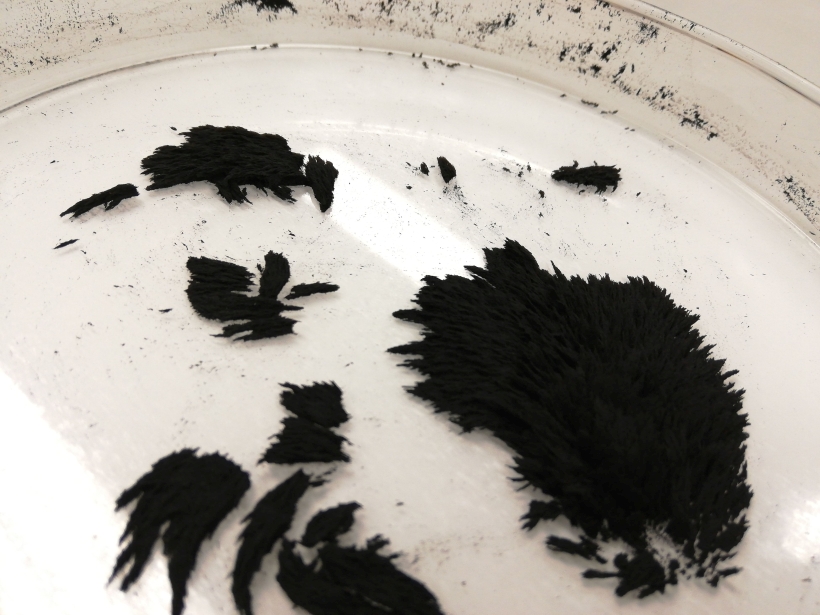 Katsed ferrovedelikuga. Fotod: Kumu hariduskeskus