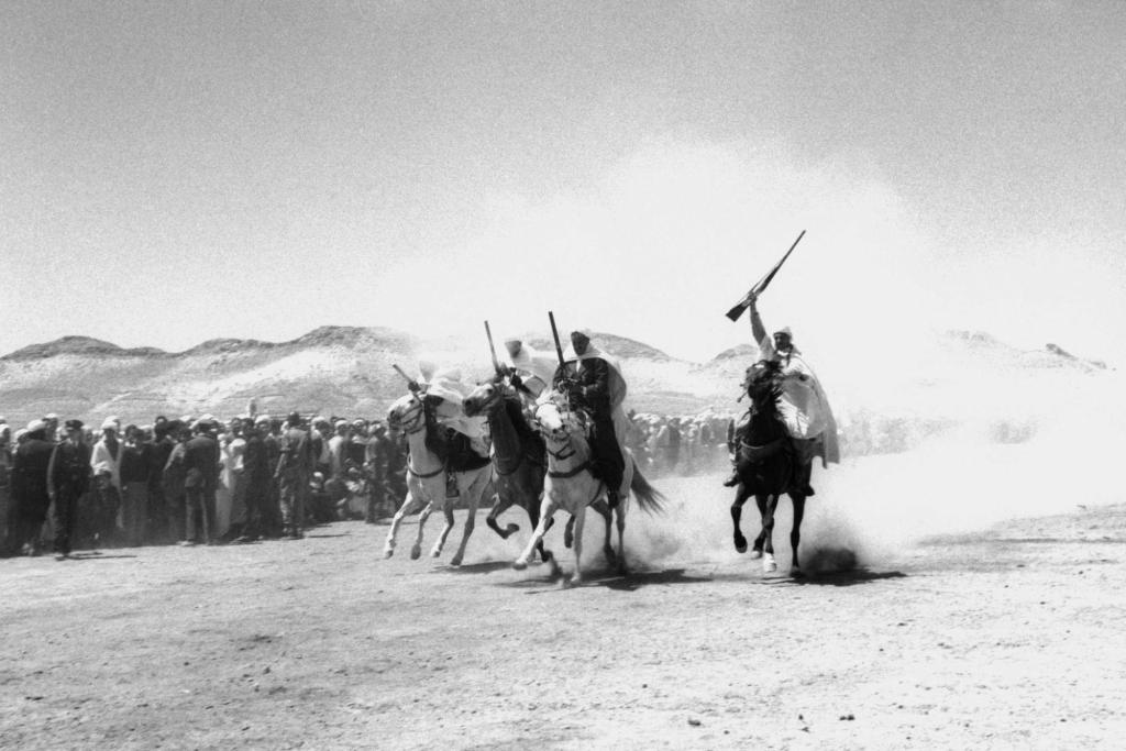 NÄDALA TEOS: Vesna Pavlović.&nbsp;Fototeek