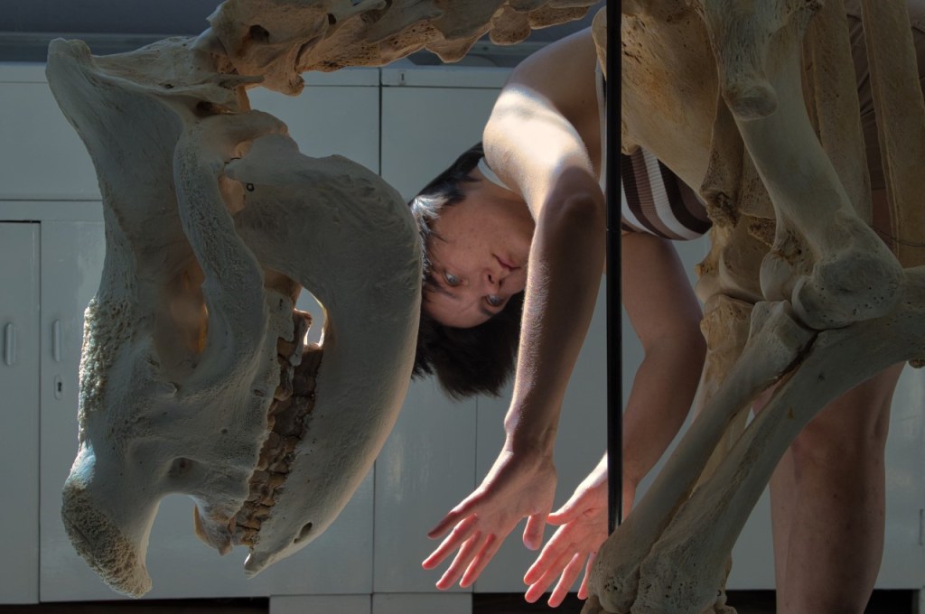 NÄDALA TEOS: Kristina Norman. Võrdlev&nbsp;anatoomia