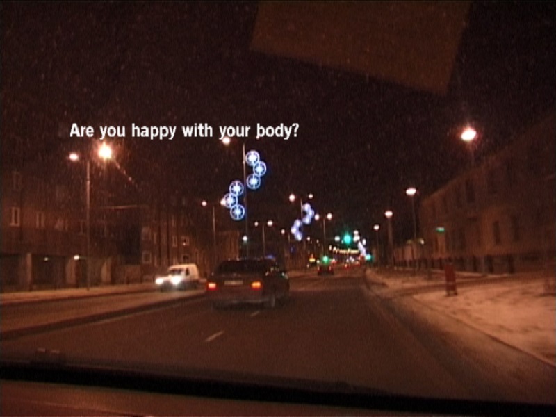 NÄDALA TEOS: Foxy Haze (Liina Siib). Vastumeelne keha&nbsp;(2007)