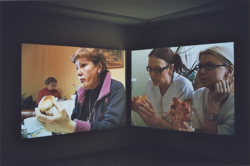 NÄDALA TEOS: Liina Siib. Ebasotsiaalsed tunnid&nbsp;(2011)