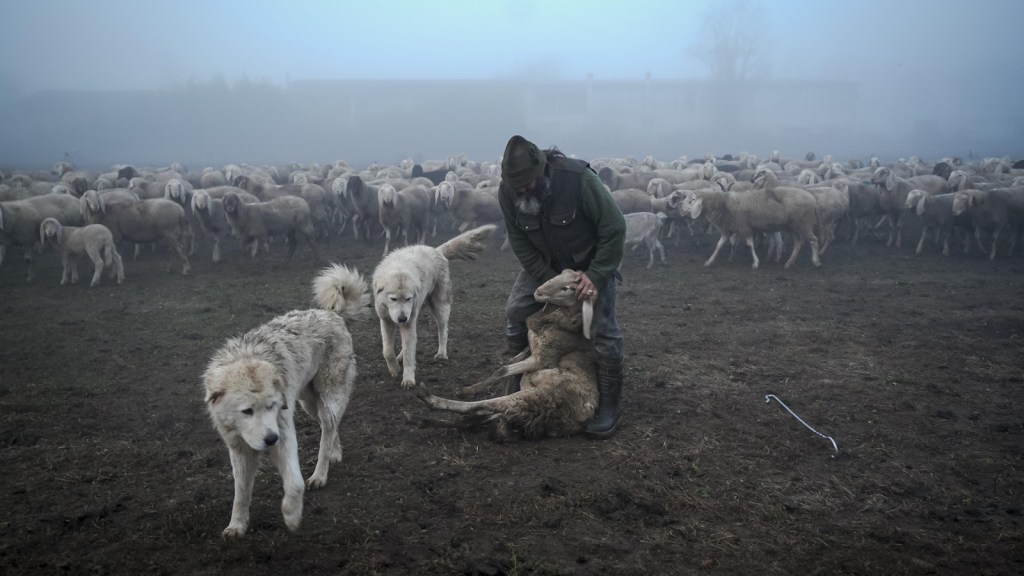 Kumu Dokumentaali sügisprogrammi teemadering pakub sügisvärvide&nbsp;kirevust